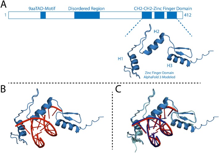 FIGURE 3