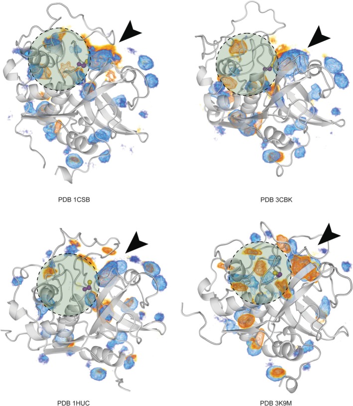 FIGURE 4