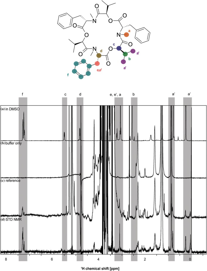 FIGURE 2