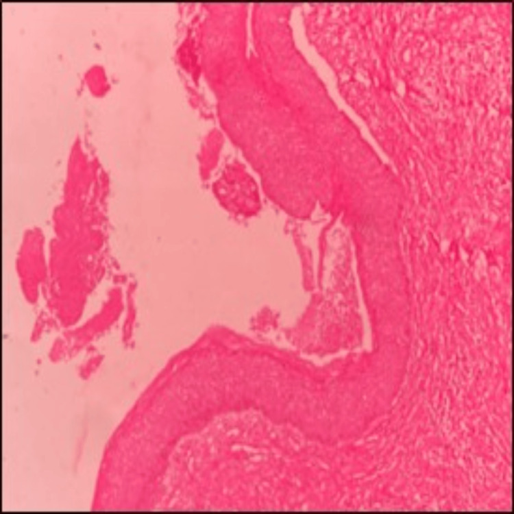 Figure 8