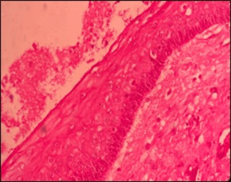 Figure 9