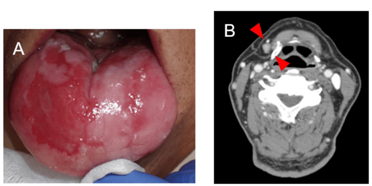 Figure 7