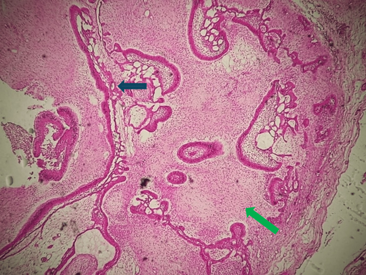 Figure 7
