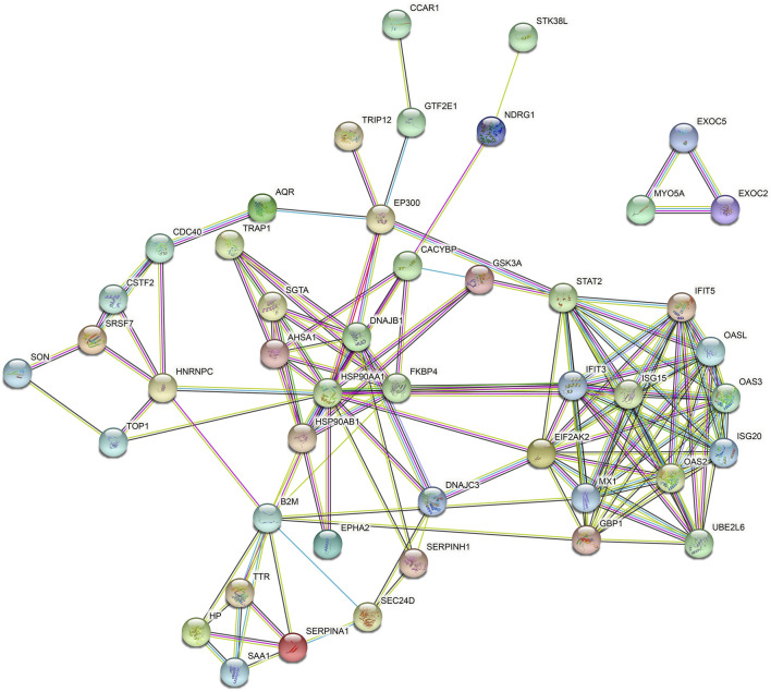 Figure 4