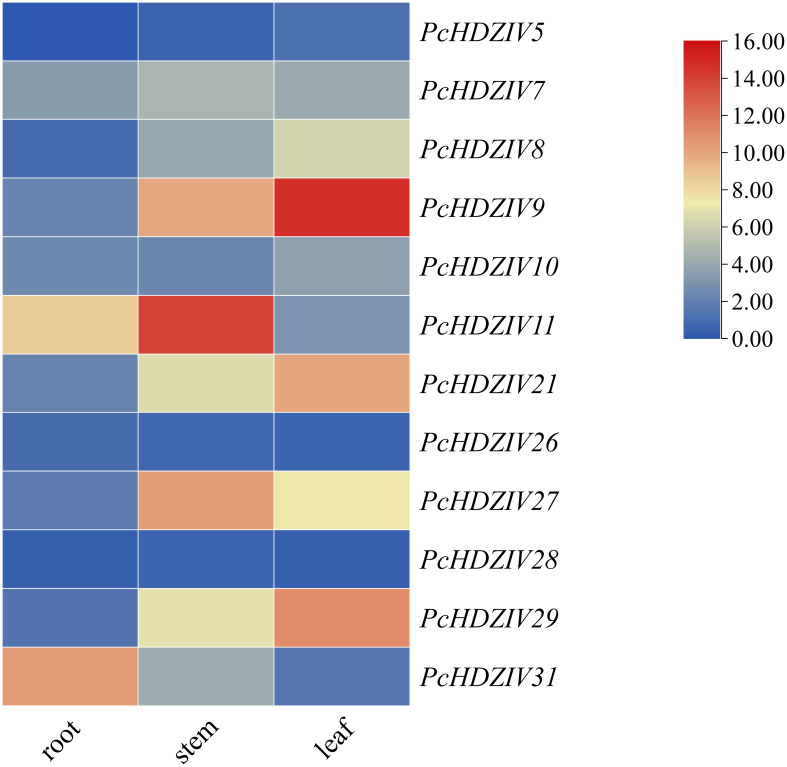 Figure 6