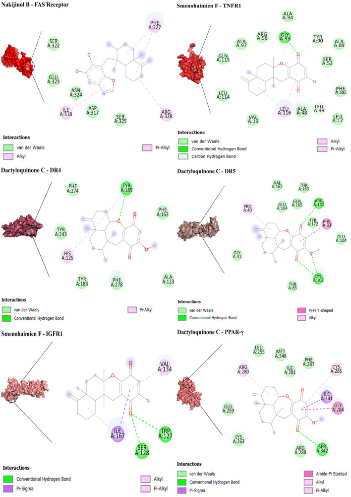Figure 6