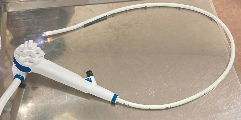 Fig. 1