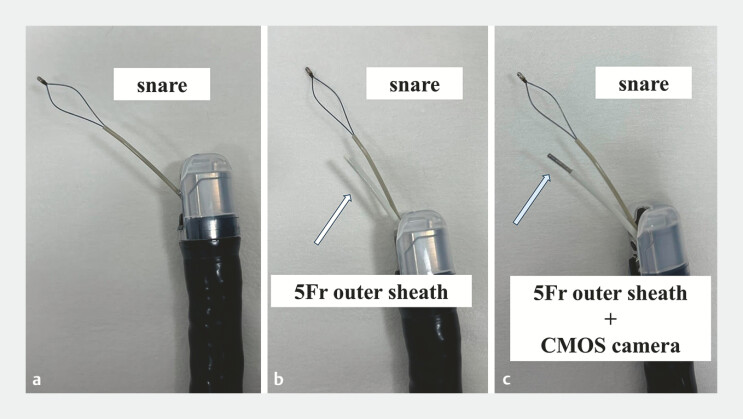 Fig. 3