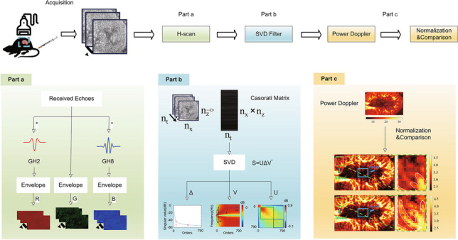 Figure 11