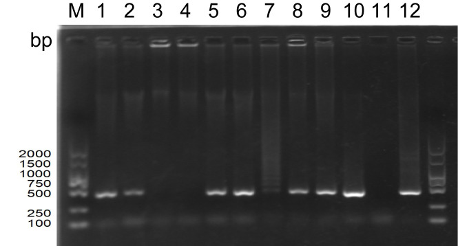 Figure 1