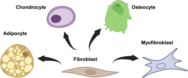 FIGURE 4