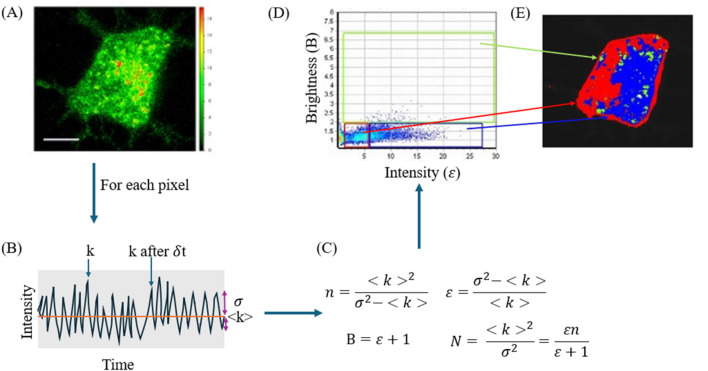FIGURE 10