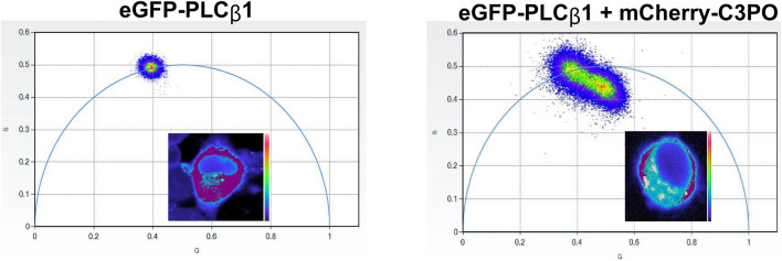 FIGURE 11