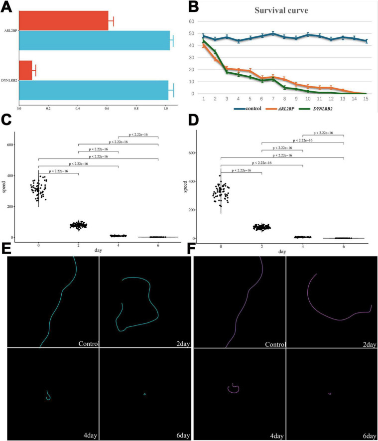 FIGURE 6