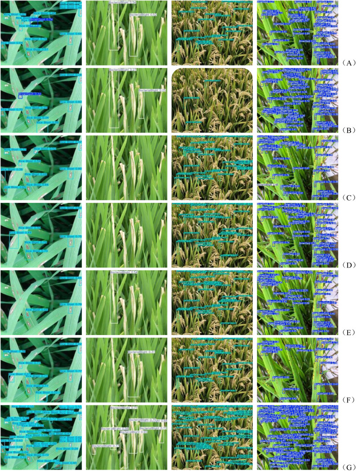 Figure 15