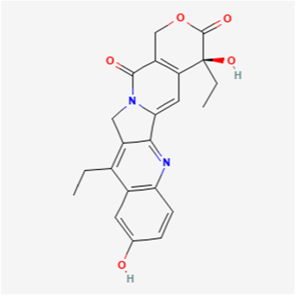 FIGURE 2