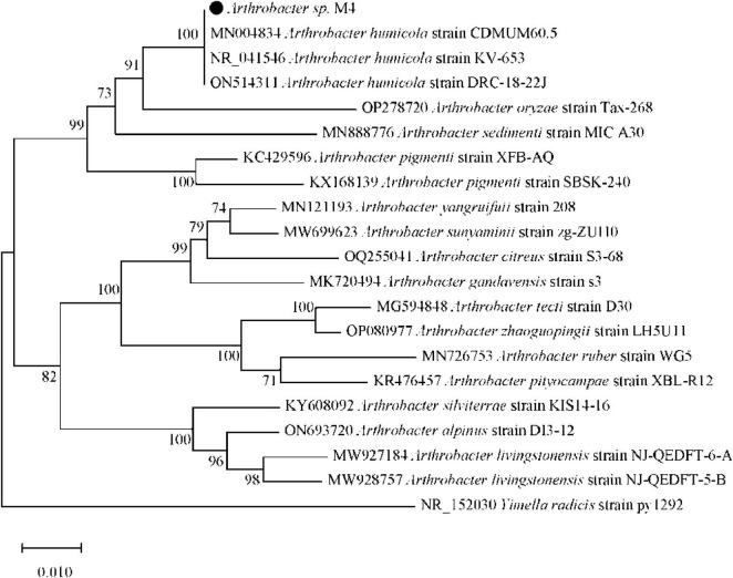 FIGURE 4