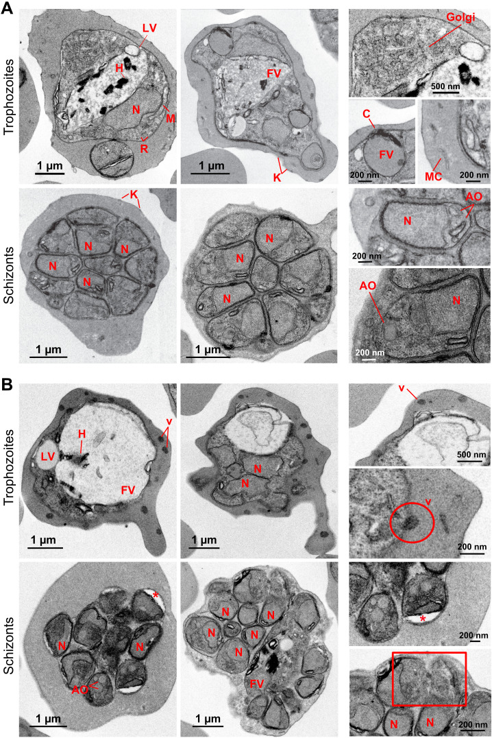 Figure 2
