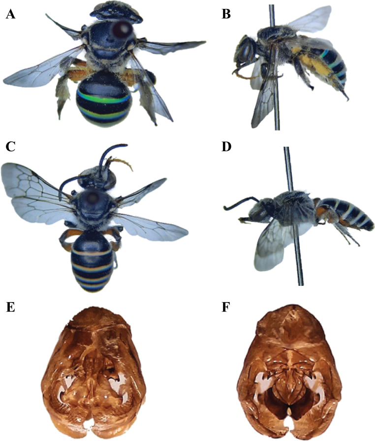 Figure 8