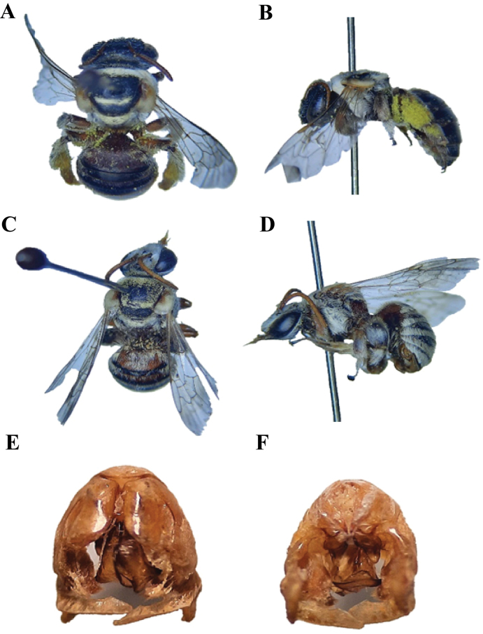 Figure 13