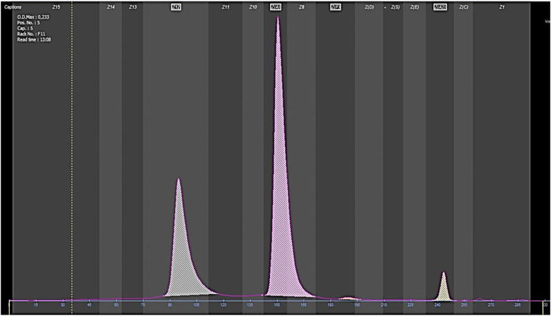 Figure 2