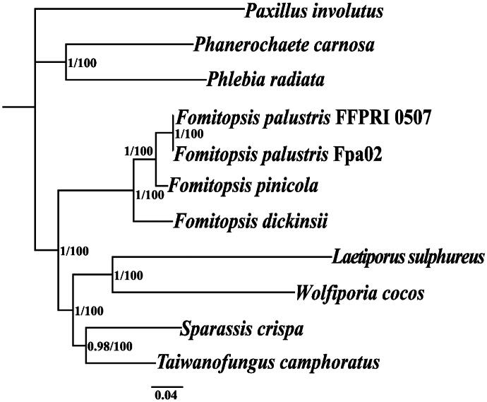 Figure 3
