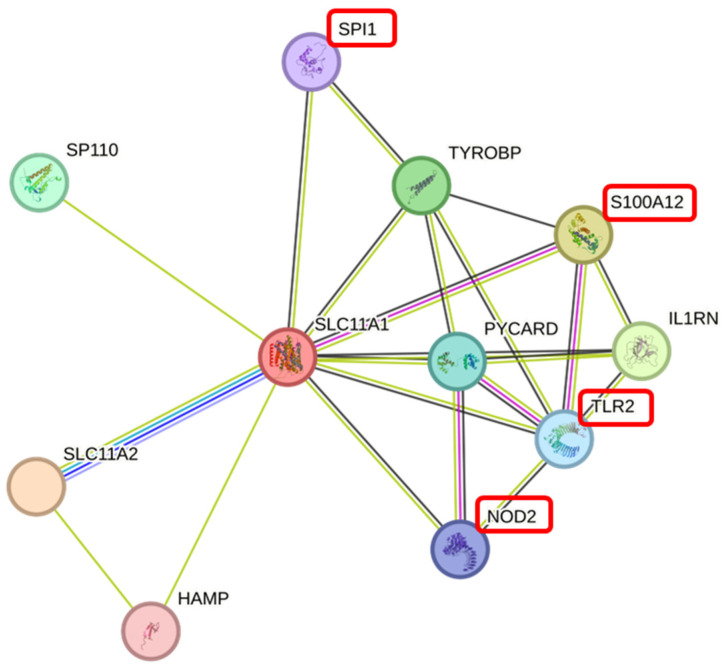 Figure 6