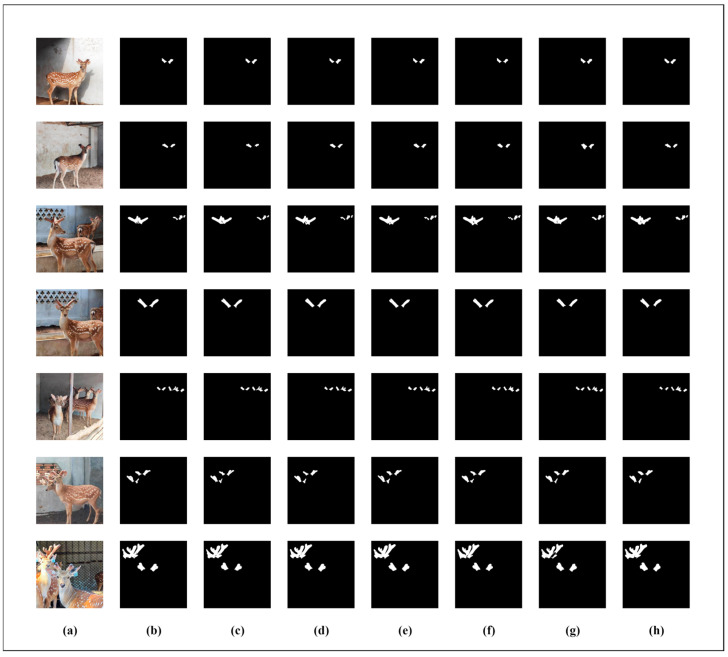 Figure 16