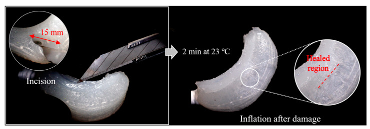 Figure 14