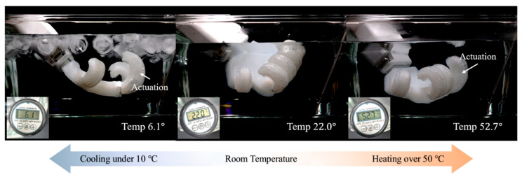 Figure 18