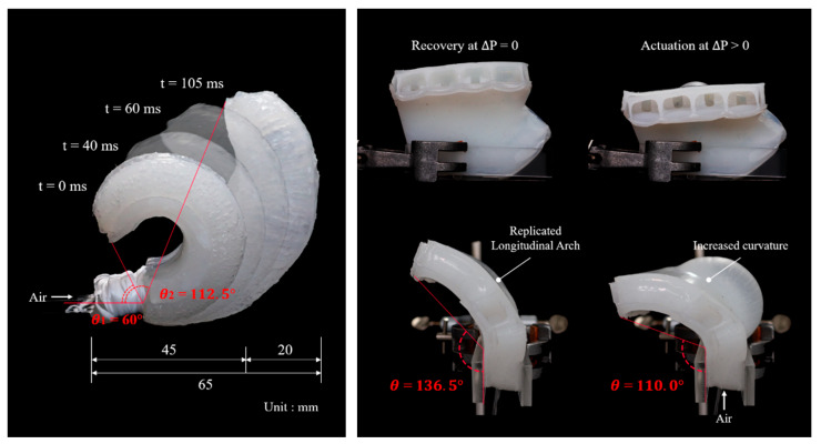 Figure 28