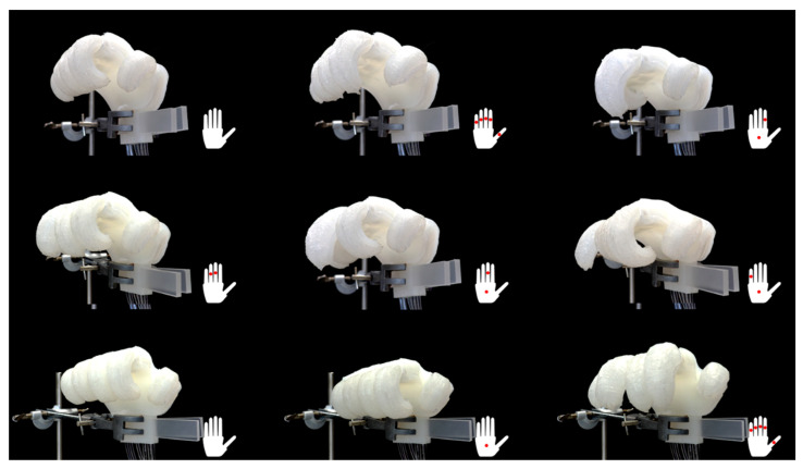 Figure 29