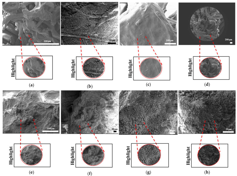 Figure 30
