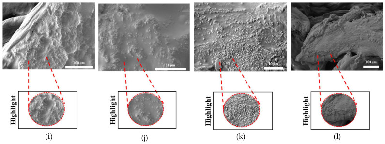 Figure 31