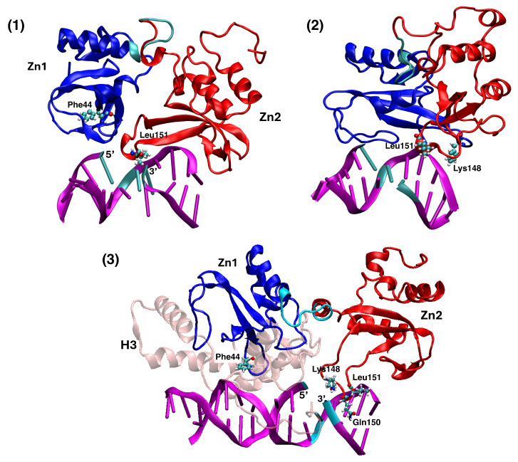 Figure 7