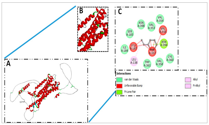 Figure 7