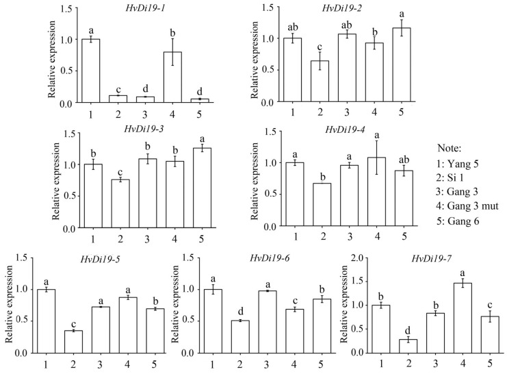 Figure 7