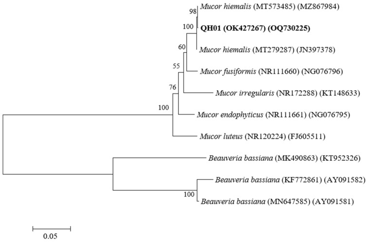 Figure 2