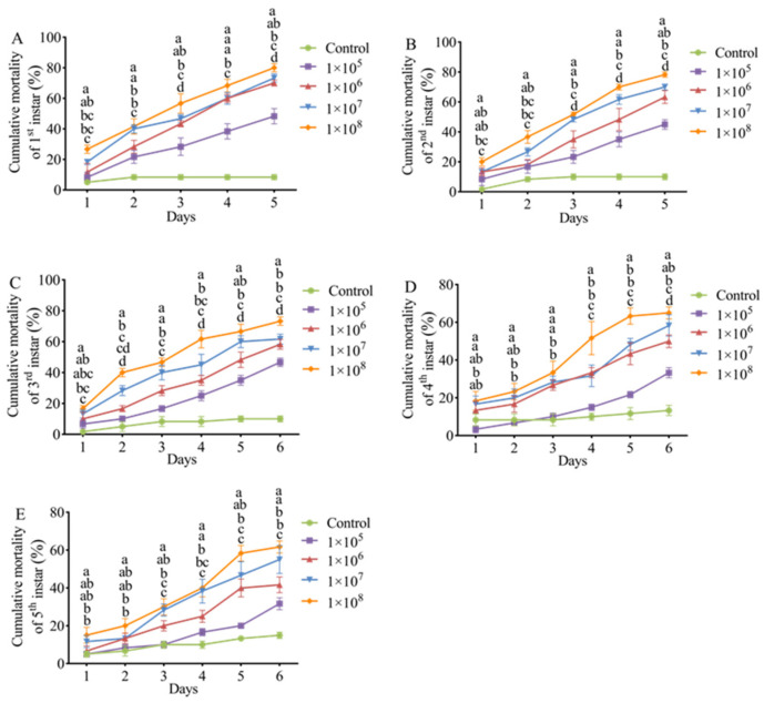 Figure 5