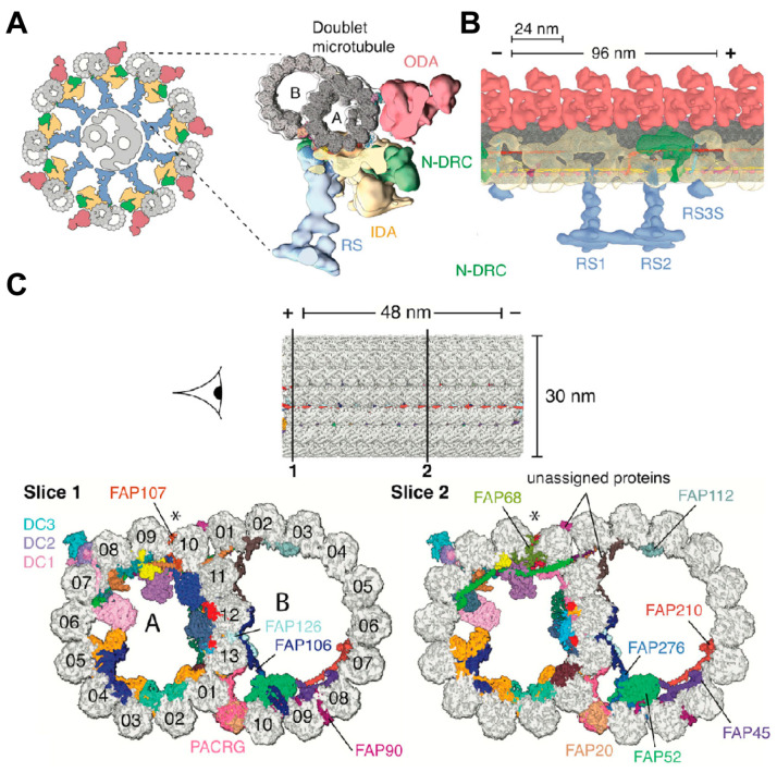 Figure 10