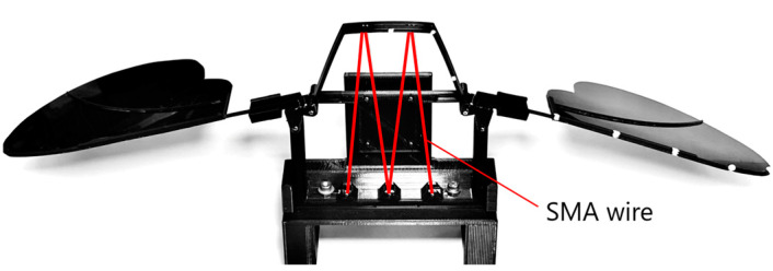 Figure 5