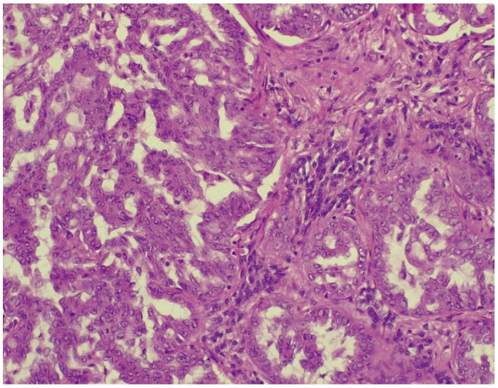 Figure 7