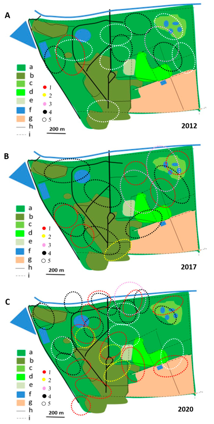 Figure 9