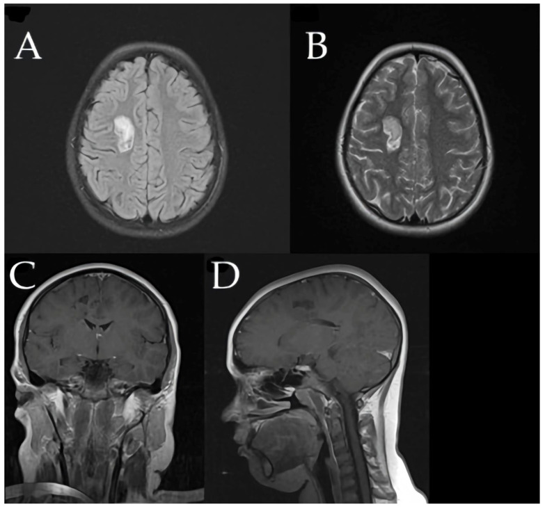 Figure 7