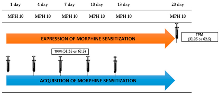 Figure 10
