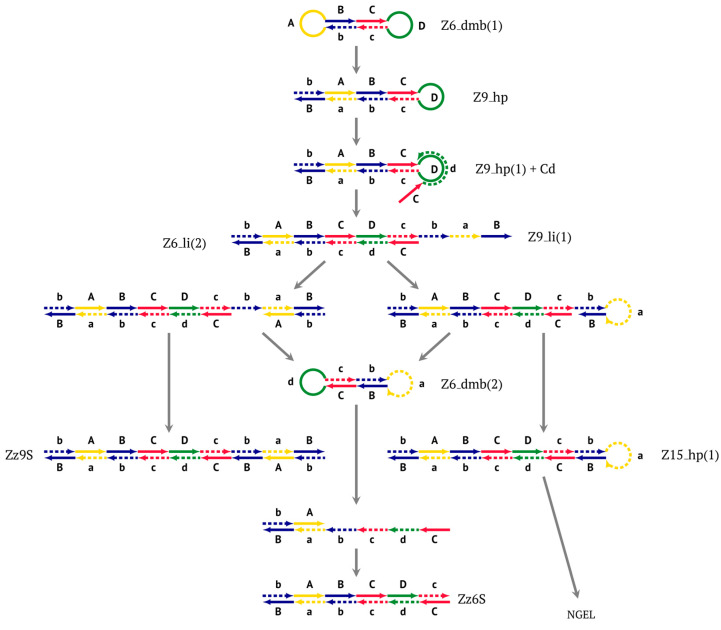 Figure 4