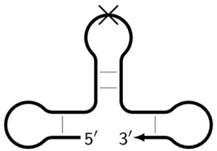 Figure 20