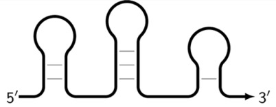 Figure 21