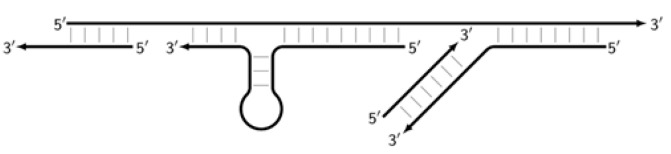 Figure 22