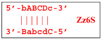 Figure 24